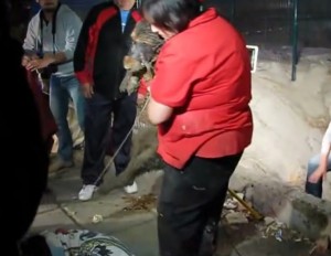Cynthia recibiendo uno de los perros lanzados al canal en Recoleta