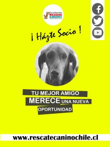 Presentación de PowerPoint