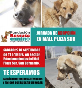 JORNADAADOPCION-1