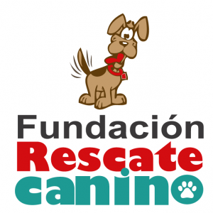 logo chico