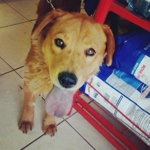 osita1