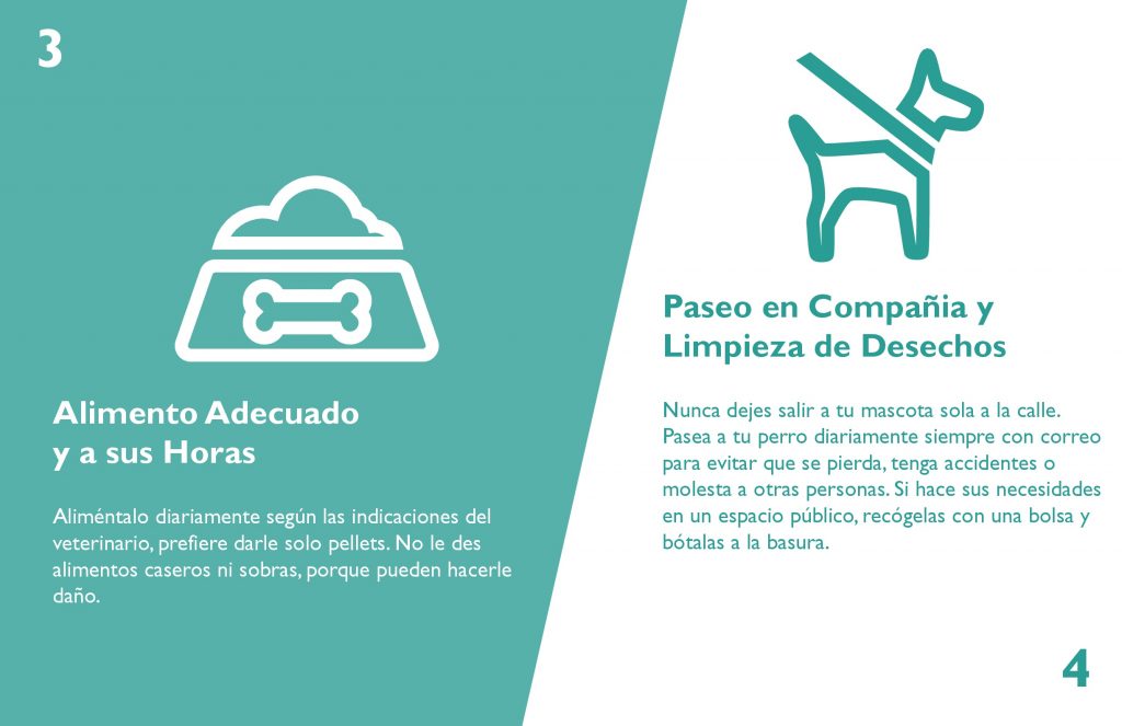 infografia-tenencia-responsable-arreglado-3-003